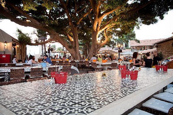 Must Eat : 5 Amazing Restaurants to Try in Tel Aviv