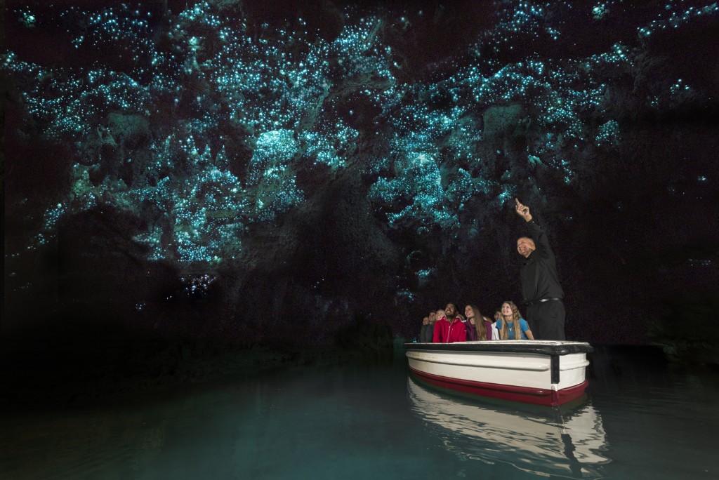 waitomo-glowworm-caves-discover-waitomo-new-zealand.ClVsMA