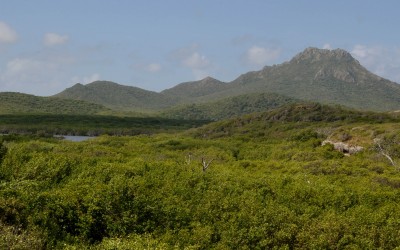 The National Parks of the Caribbean