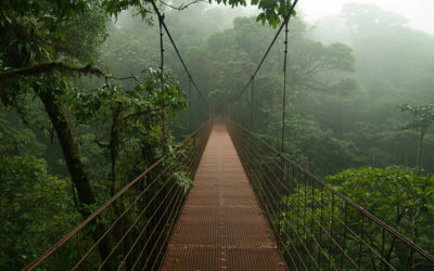 Adrenaline Junkies: Tips For Planning The Perfect Adventure
