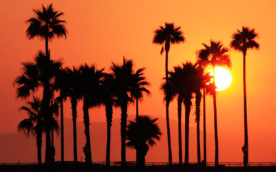 Uncover The Hidden Gems Beyond Hollywood