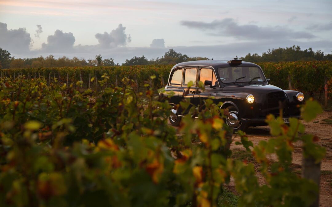 Wine Cab, the specialist of Wine Tours  aboard an English taxi, also offers getaways  in 2CV and Volkswagen Kombi